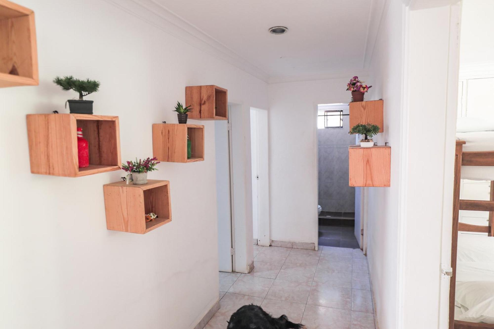 Hostal Palo Alto San Andrés エクステリア 写真